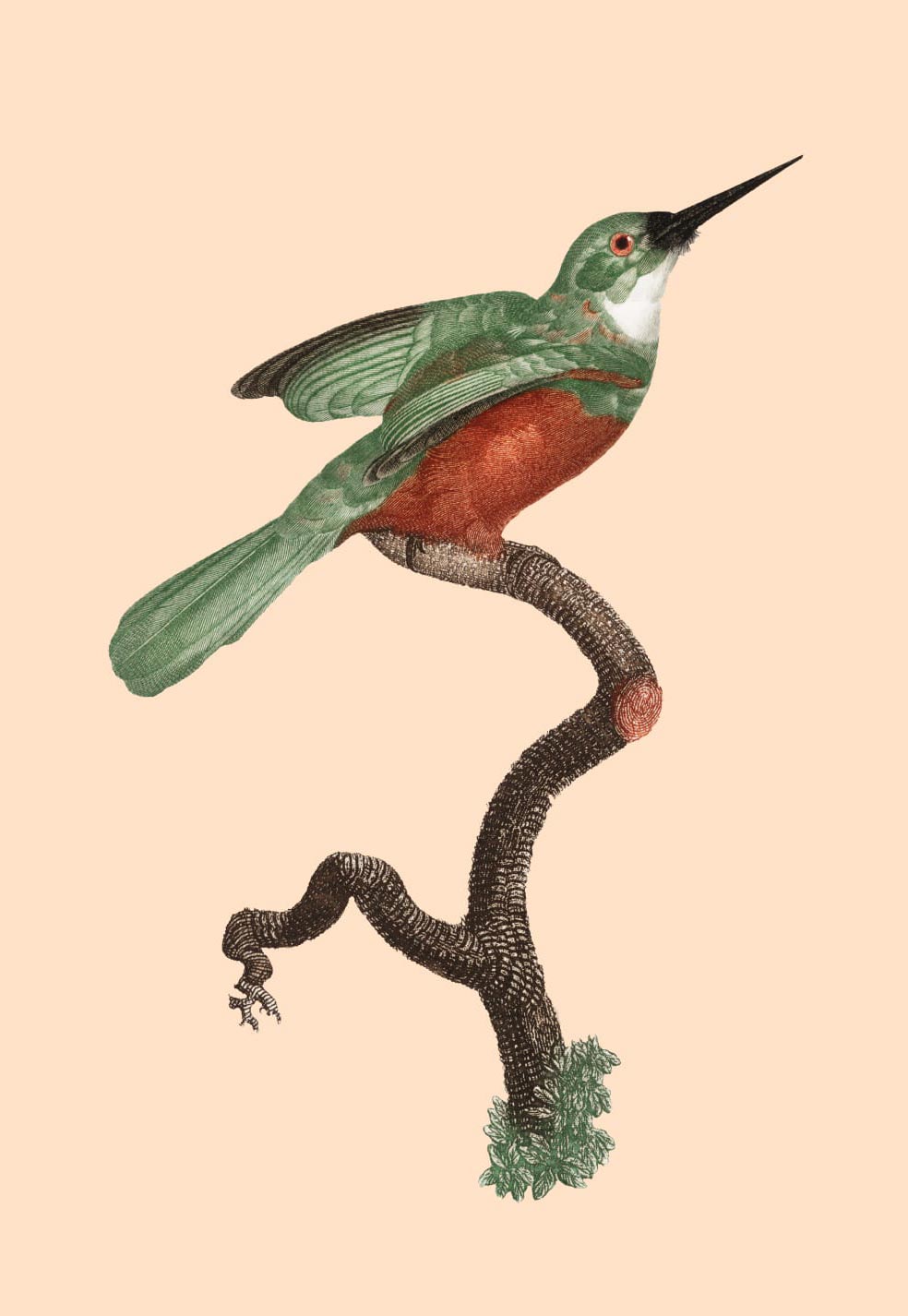 Ilustración de un pájaro posado en una rama.