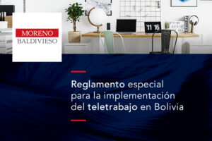 Reglamento Especial Para La Implementación Del Teletrabajo En Bolivia