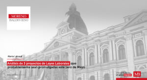 Los Proyectos De Ley Que El Régimen De Bolivia Se Encuentra Debatiendo En La Asamblea Legislativa Plurinacional