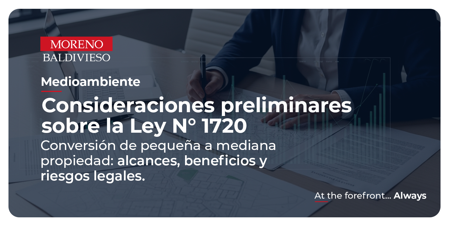 Consideraciones preliminares sobre la Ley N° 1720 (Conversión de Pequeña a Mediana Propiedad)